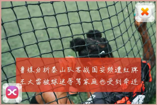 鲁媒分析泰山队客战国安频遭红牌王大雷被球迷辱骂家庭也受到牵连
